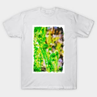 Curled Ferns 1 T-Shirt